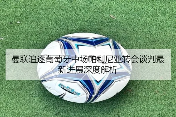 曼联追逐葡萄牙中场帕利尼亚转会谈判最新进展深度解析